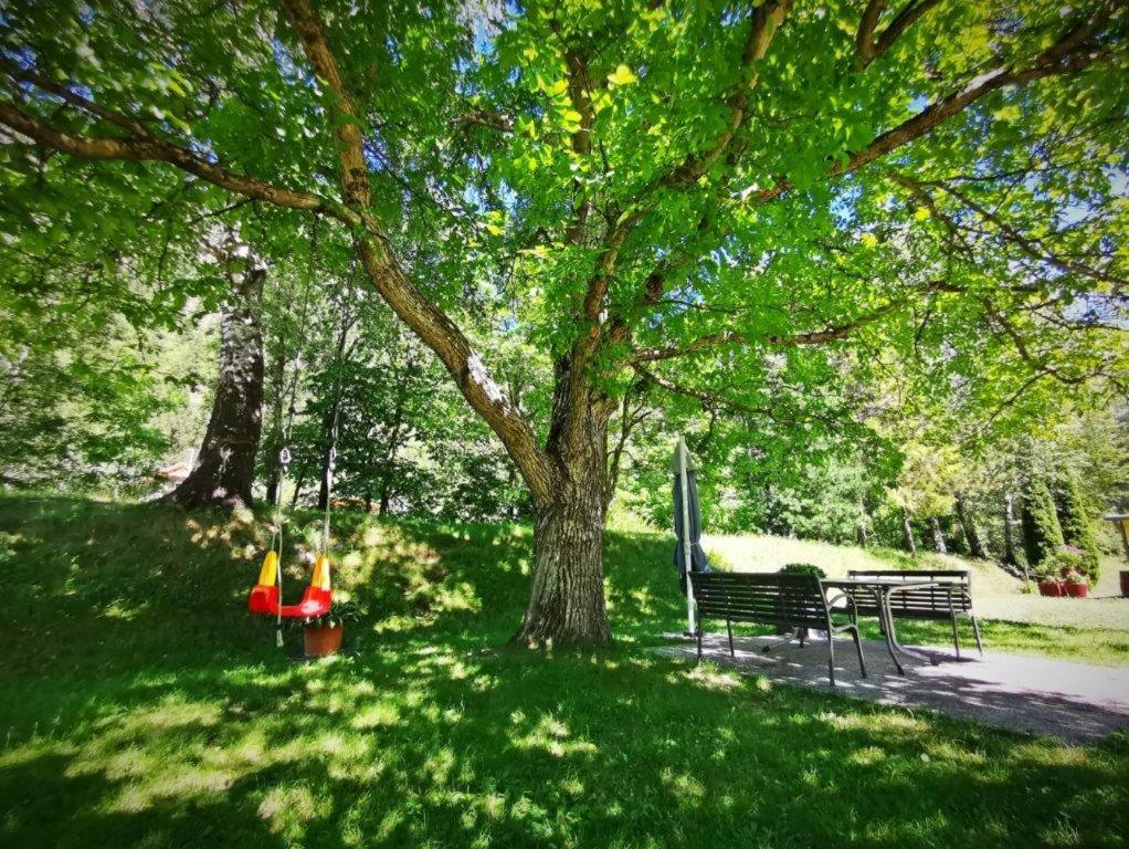 Apartmán Haus Maria Sankt Johann im Walde Exteriér fotografie